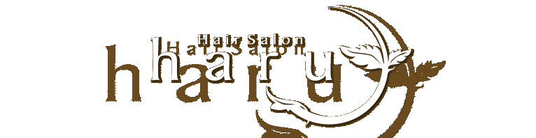 Hair Salon haru